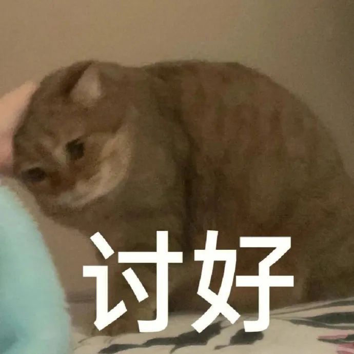 托福和雅思区别_雅思 托福 区别_托福 gre 雅思 区别