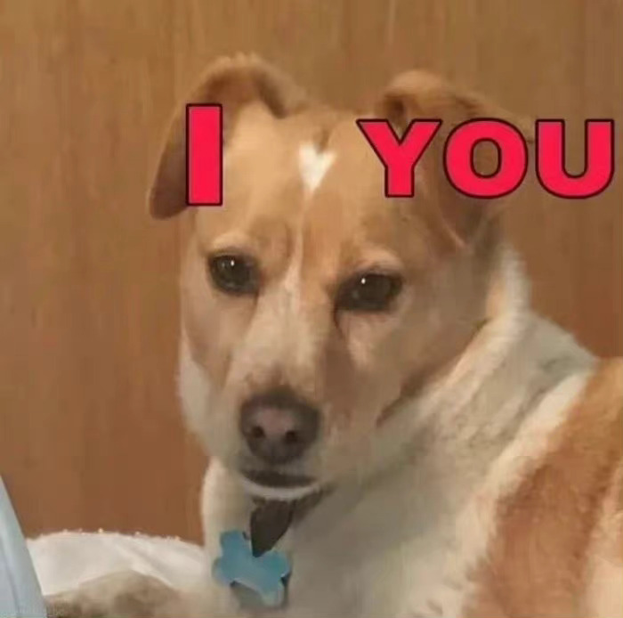 托福和雅思区别_雅思 托福 区别_托福 gre 雅思 区别