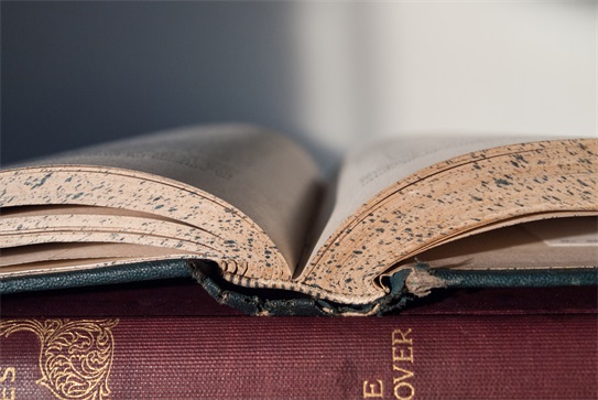 初一学习英语的好方法和技巧