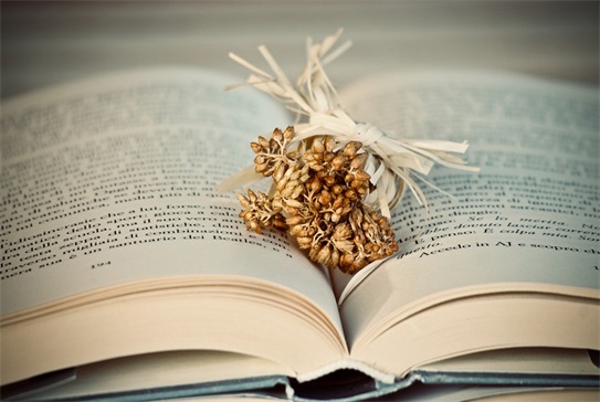 **如何提高口语 短期内提高口语头家的方法