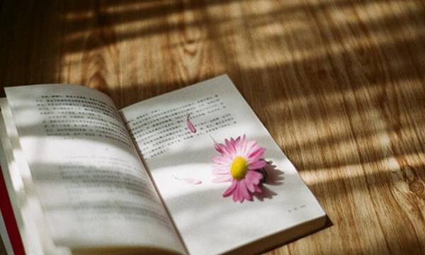 西安外教英语？英语网校哪家头家?