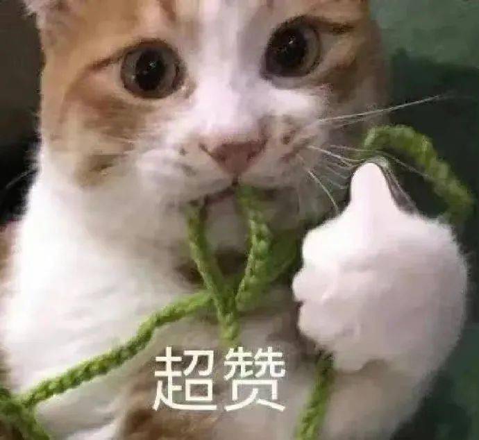 好的学习习惯英语_学习英语习惯有哪些_培养良好的学习习惯