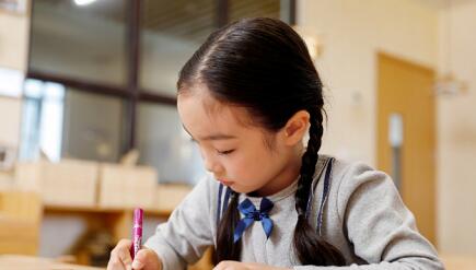 学职场英语哪个网校好_东奥网校好还是中华网校好_英语网校哪家好