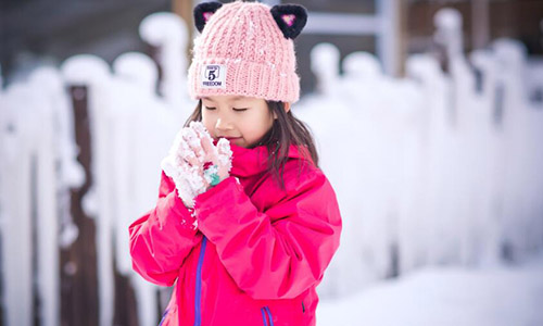 pets培训班_东莞pets培训哪家好_宁波pets培训