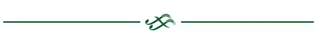 英语动词形式精讲(宝藏●初中适用)插图3 以网页的形式保存文字,常见的网页编辑软件有那些_税法题多选我国现行个人所得税法中采用的税率形式有_英语形式有哪些