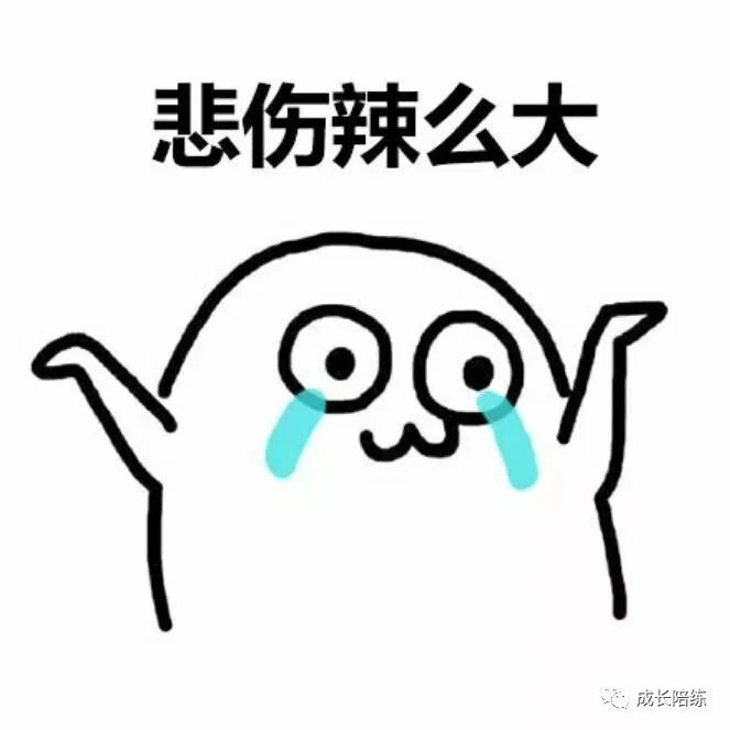 学习英语的计划 英语作文_英语学习计划_英语词汇学习丛书·英语词汇入门