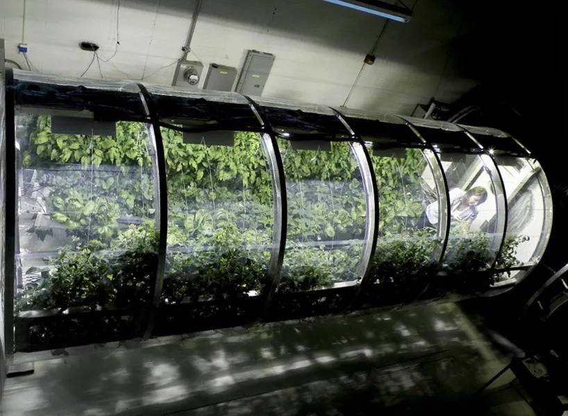 英语在线学口英语在线学口语_植物学英语_植物化妆品开发学