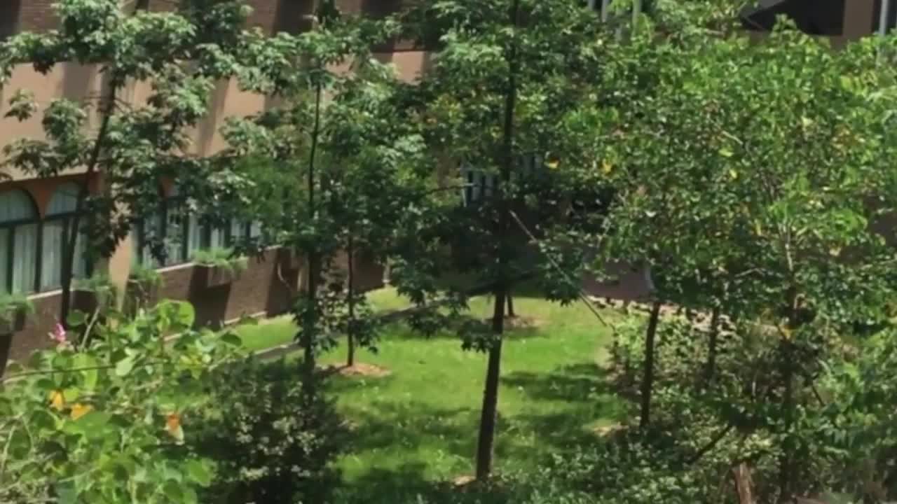 哪个早教机构好_徐州哪家早教机构好_哪个早教机构好