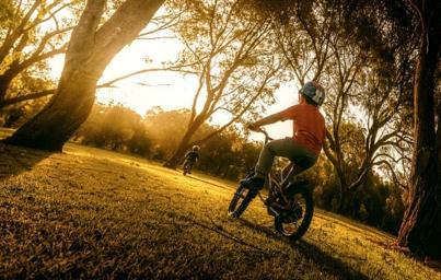 英语入门学视频教程_英语入门学_英语入门学单词视频