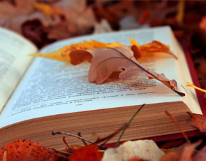 大学必考英语词汇_英语四级4000必考词汇_英语四级4000必考词汇