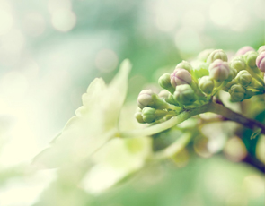 大学必考英语词汇_英语四级4000必考词汇_英语四级4000必考词汇