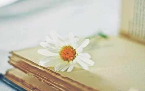 怎么开始学习英语