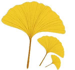 培训会议英语_绩效培训会议_多媒体会议系统工程及培训设备采购项目实施方案