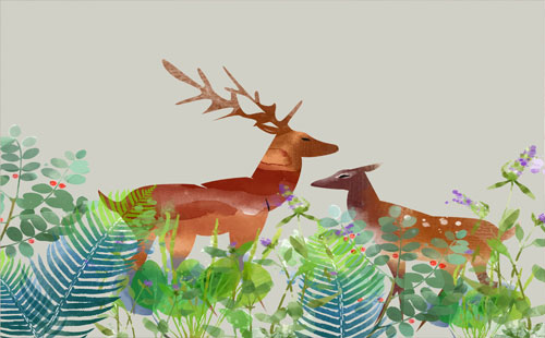 如何学习**英语