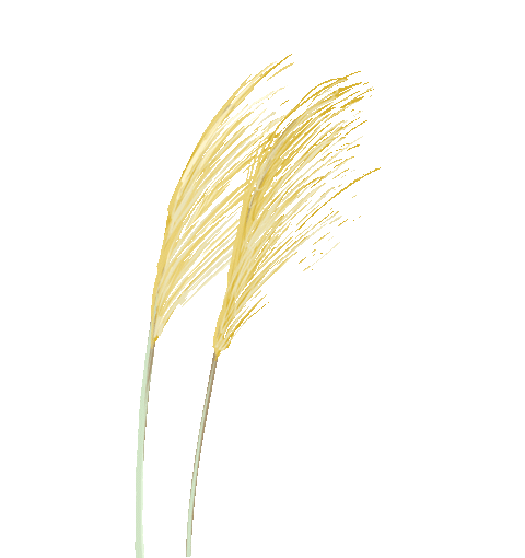 帮助**学习的英语_感谢外教帮助学习英语_怎样帮助**读英语