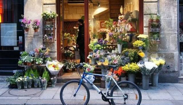 学英语有用吗_学vipabc 英语 有用吗_有免费学初级英语