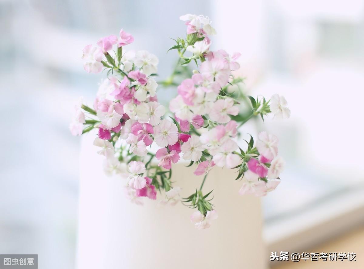 英语词汇应用babiesbody_应用英语_应用英语面试常问问题