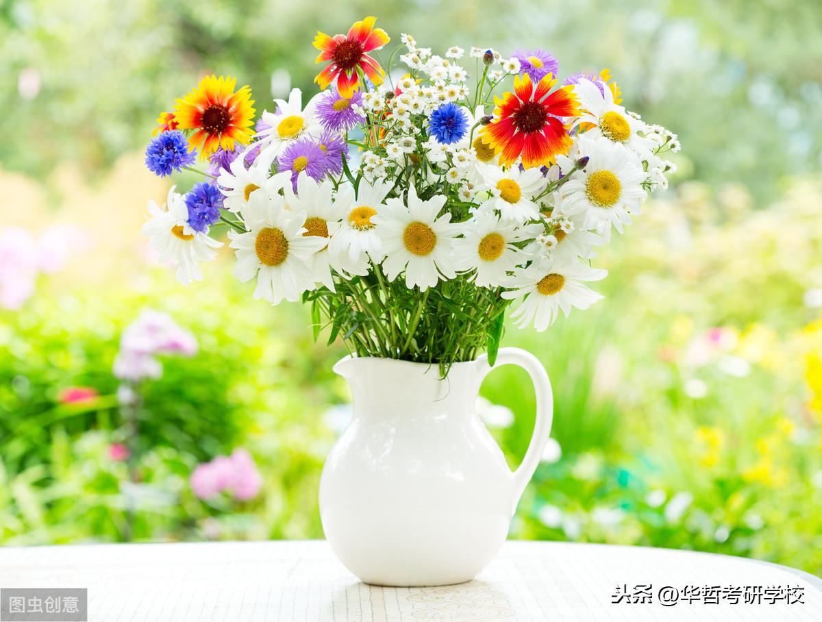 应用英语_英语词汇应用babiesbody_应用英语面试常问问题