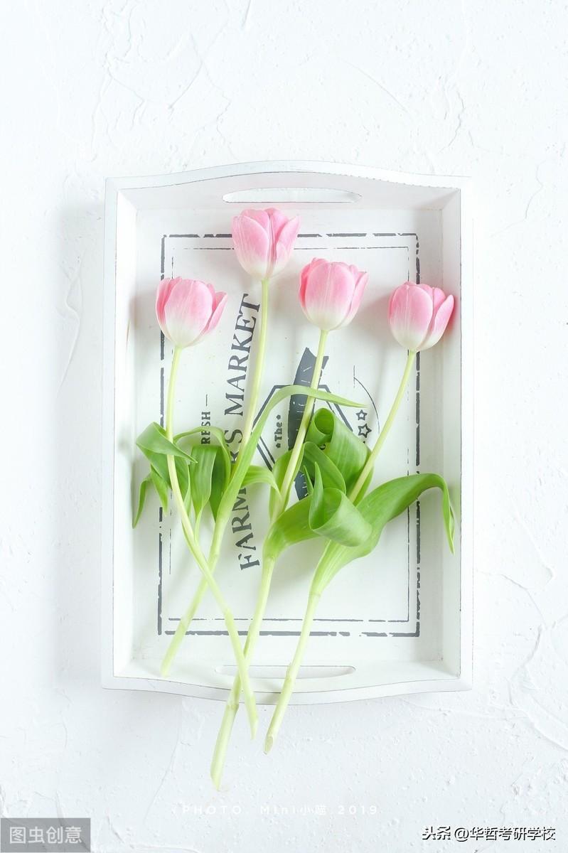 英语词汇应用babiesbody_应用英语面试常问问题_应用英语