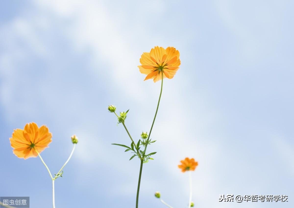 沪江英语应用_应用英语面试常问问题_应用英语