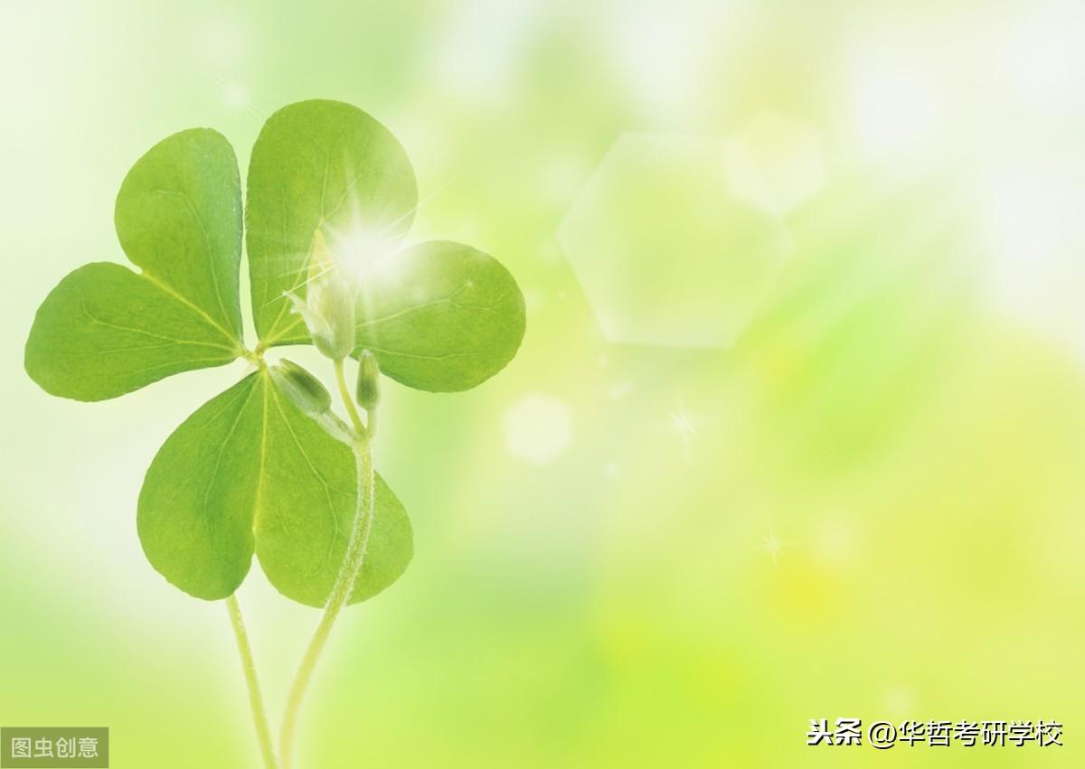 沪江英语应用_应用英语_应用英语面试常问问题