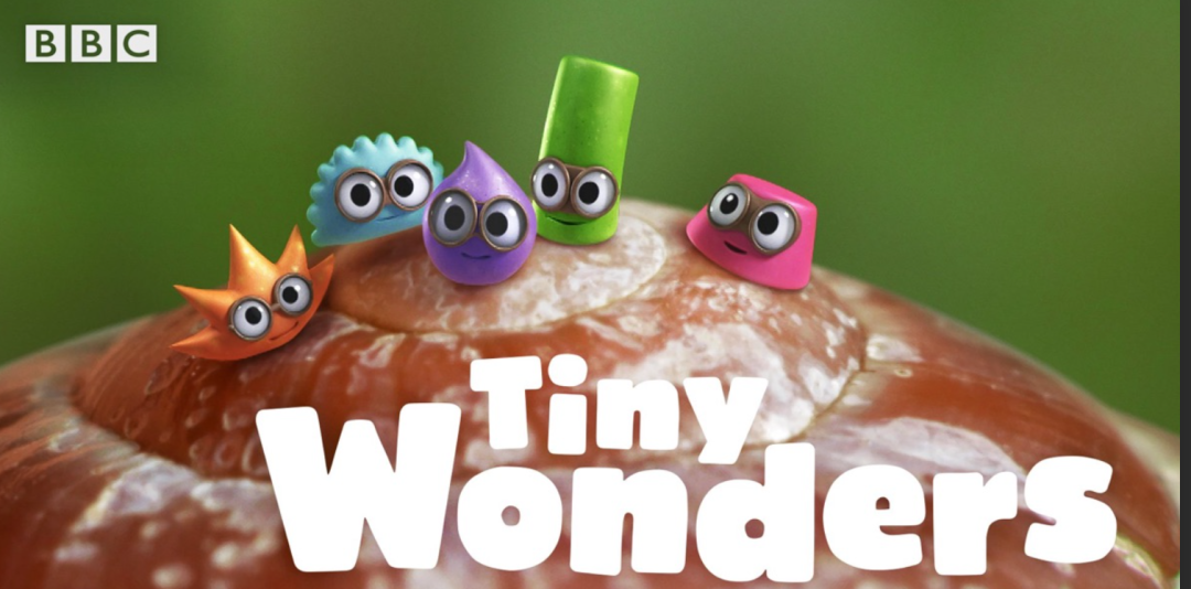 **学动物英语_动物学英语_**学动物英语视频