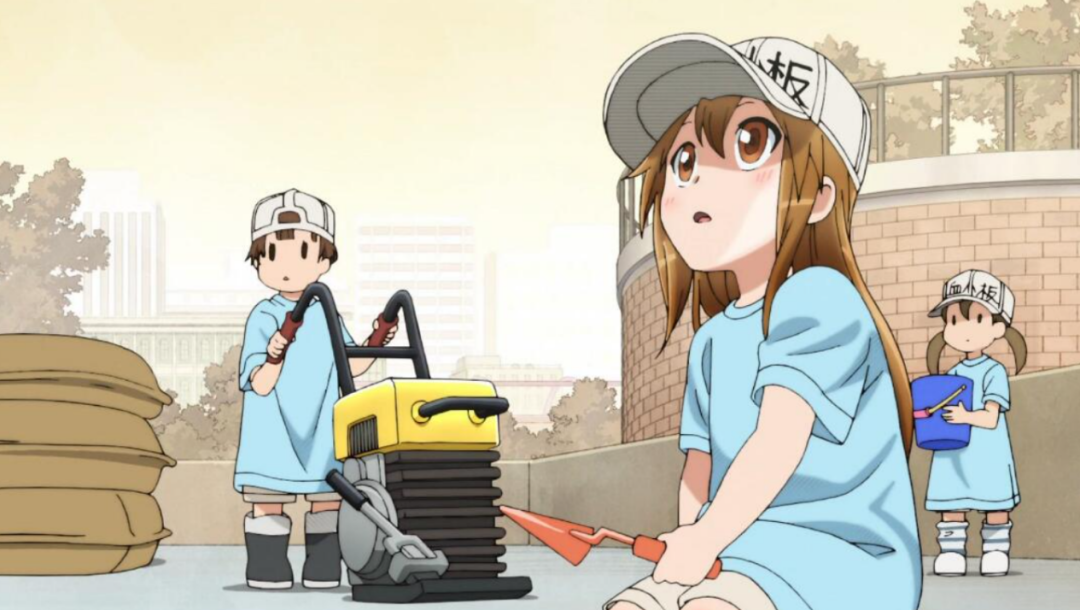 动物学英语_**学动物英语_**学动物英语视频