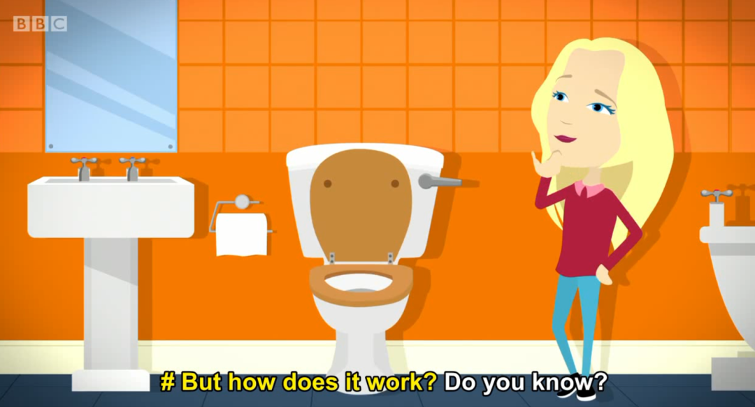 **学动物英语视频_动物学英语_**学动物英语