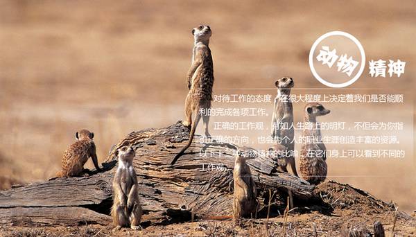 线上成人口语英语机构排名_成人英语口语培训机构哪家好_英语 培训 机构成人