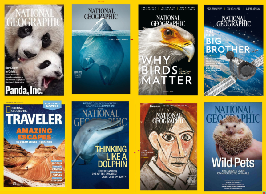 零基础怎么英语过四级_英语零基础怎么过四级_零基础过英语2