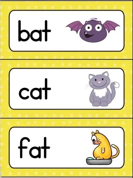 学英语有必要学音标吗_英语入门学音标怎么学_英语零基础学音标还是学自然拼读