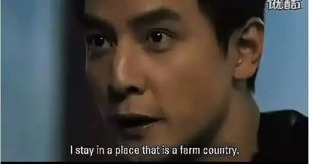 斑马英语好还是多纳英语好_悟空英语好还是熊猫英语好_杨幂英语好吗