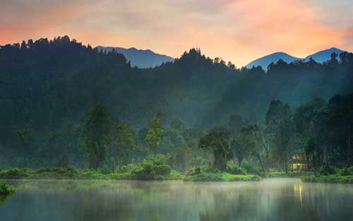 网上如何学习英语