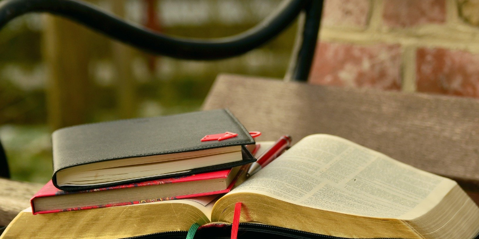 汕头经验丰富的托福培训质量哪家好,托福培训