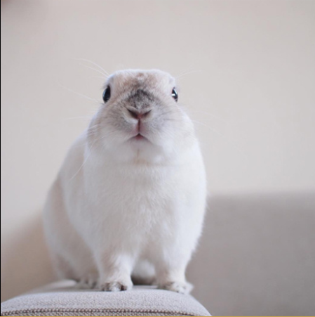 听力宝典提升训练_英语听力提升_英语初级听力听力材料