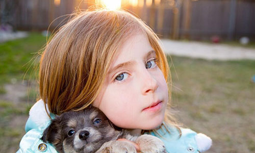 简单英语日常口语_韩语旅游用语300句_日常日语口语900句