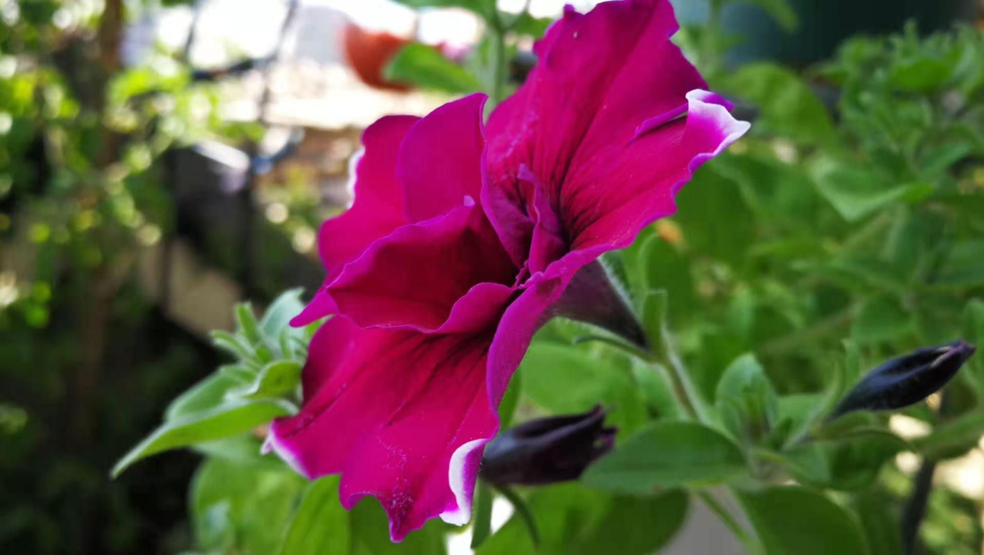 寒假英语_英语专业寒假兼职_有寒假英语