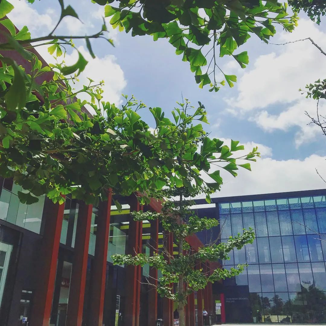 北外雅思官网_ 伦敦布鲁内尔大学免费内测考试 _雅思成绩提升 英国大学语言内测 