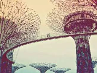 英语口语交流技巧_英语口语段落_学习英语实用句子