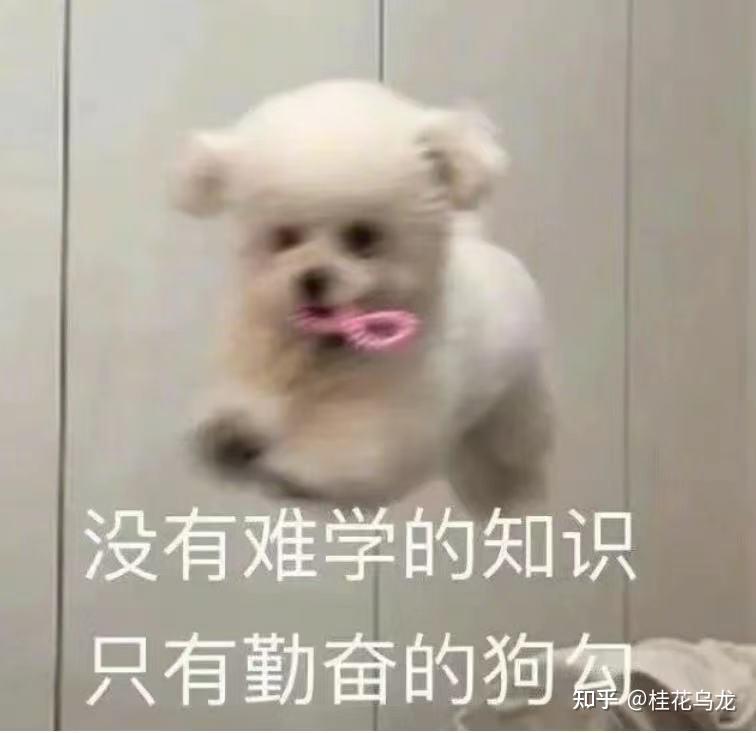 雅思考试报名流程详解_雅思英语怎么考_雅思小白备考攻略