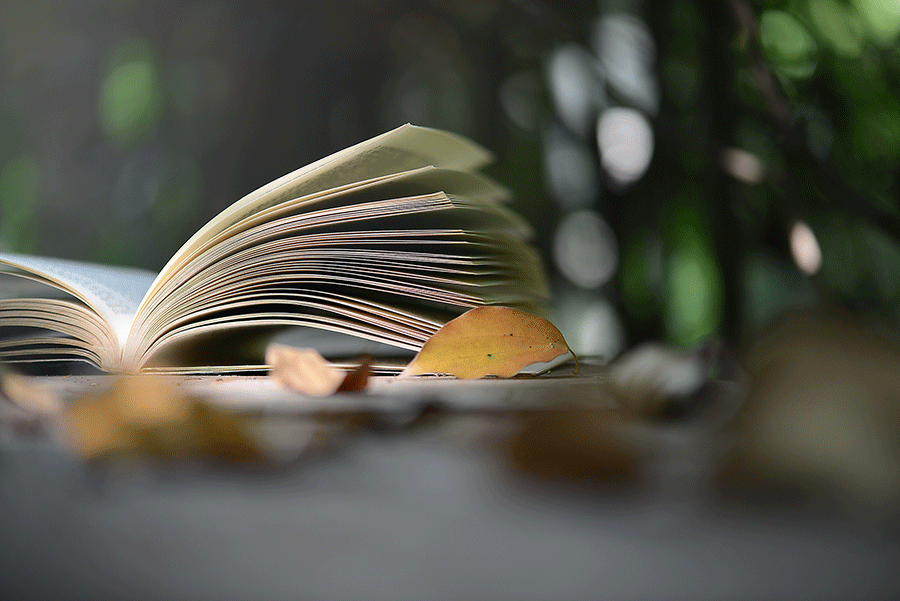 福建自考转考政策_自学考试免考条件_自考英语二培训班一次性过