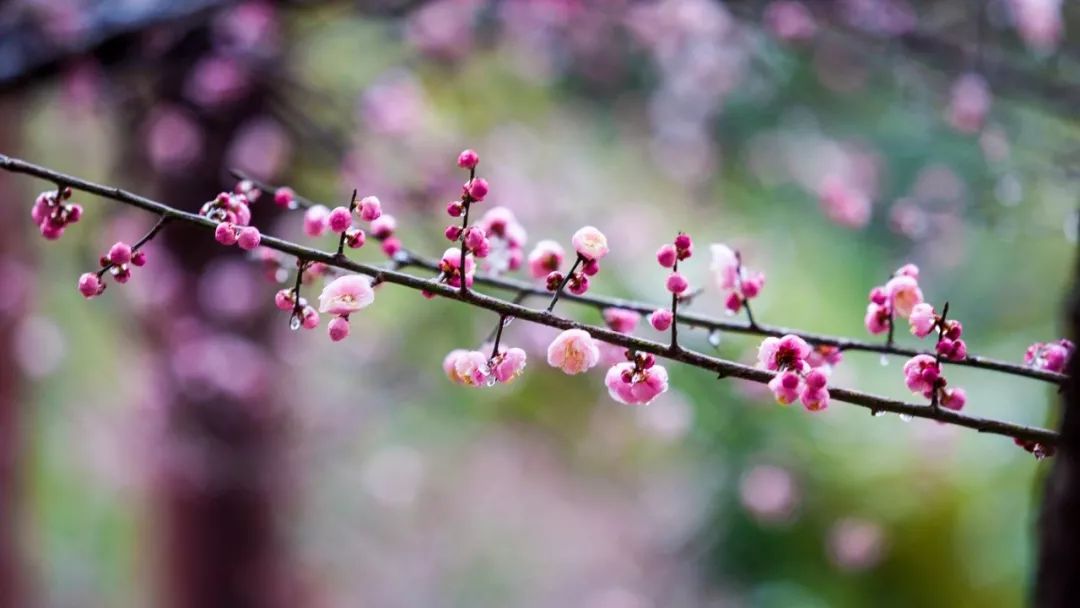 英语一国家线_考研复试准备攻略_考研复试英语听说能力提升