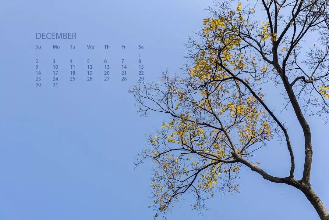 考研复试准备攻略_英语一国家线_考研复试英语听说能力提升