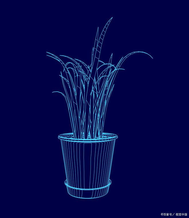 词汇记忆神器墨墨背单词_手机学英语_英语学习软件推荐