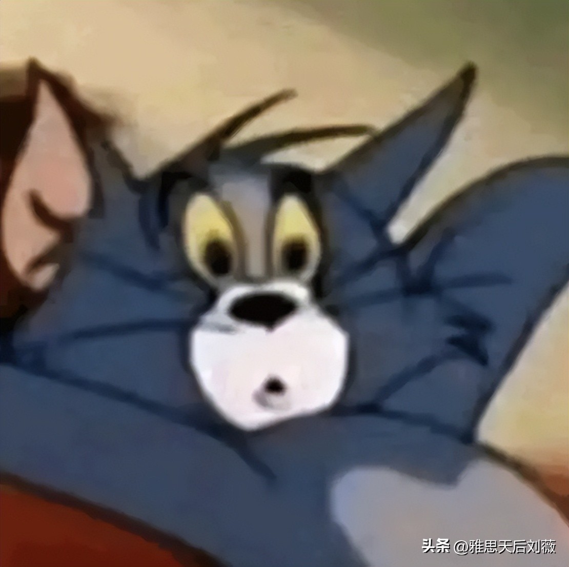 雅思英语有多难_高考英语与雅思考试区别_高考英语140分与雅思7分对比