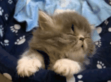 睡觉时听英语有用吗_英语听力催眠效果_英语早读精神提升