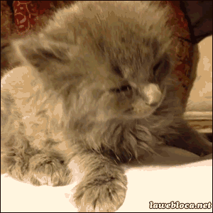 英语听力催眠效果_英语早读精神提升_睡觉时听英语有用吗