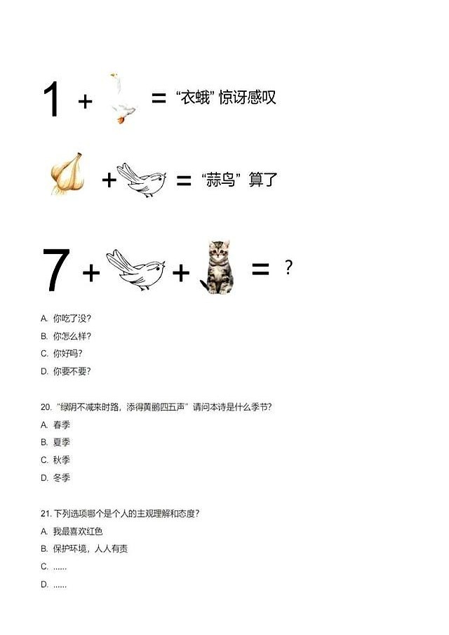 中考英语口语考试_武汉外校全英文机考_英语口语考试试题