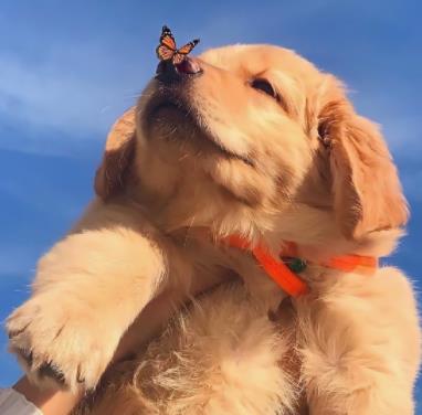 51talk试听课感受_阿卡索all together怎么样_阿卡索教材对比