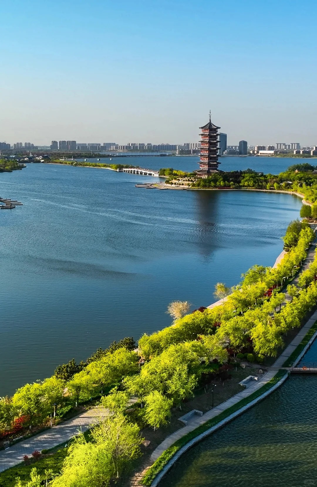 宁波成人外教一对一多少钱_宁波美食国际化程度_宁波港口城市国际化程度